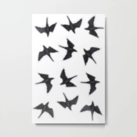 A murder of crows