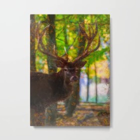 The deer stag