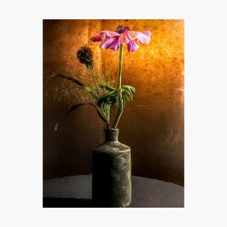 Flower in vase