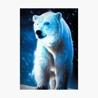 Polar bear